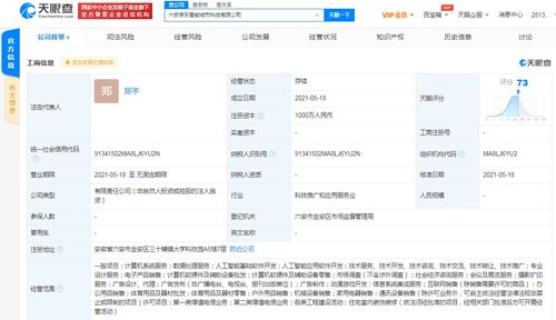京東云計算拓展智能城市版圖，新設科技公司布局動漫游戲開發與系統集成